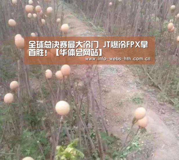华体会官网