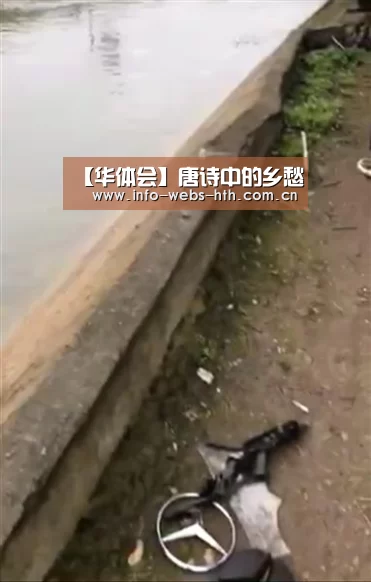 华体会网站